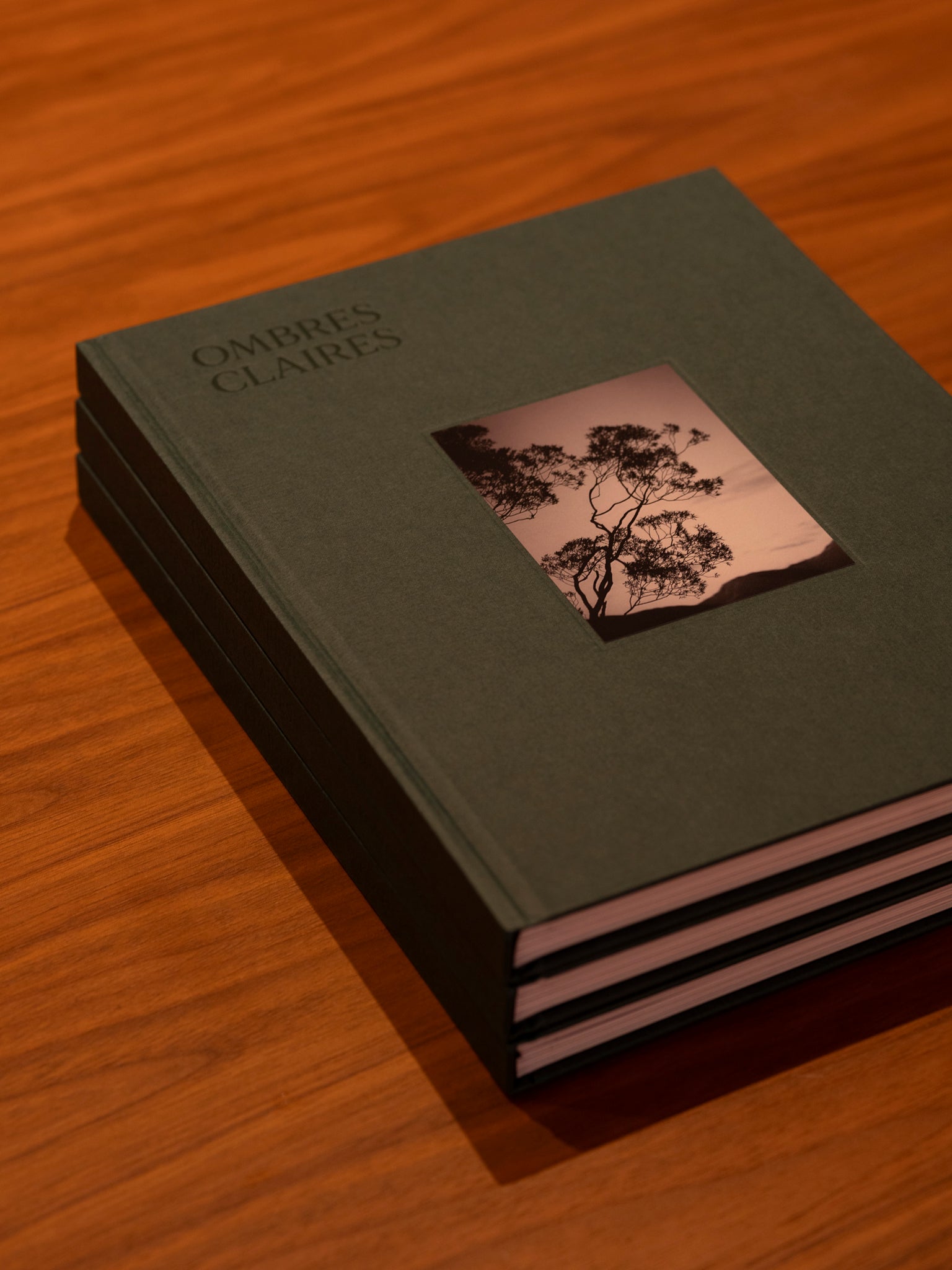 Ombres Claires